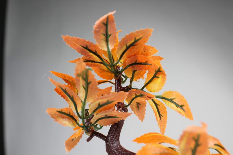 Penn Plax Penn-PLAX Deco-Replicas Bonsai Tree Aquarium Decoration â€“ Orange â€“ Safe for Freshwater and Saltwater Fish Tanks â€“ 8â€ Height - Image 3